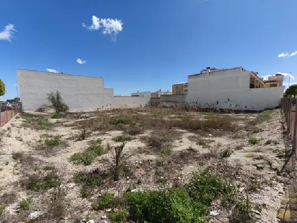 Terreno rustico in vendita a San Fulgencio, imagen 2