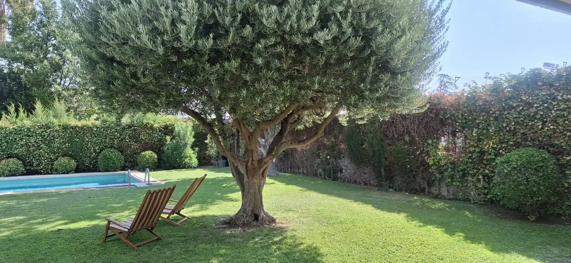 Jardín de Casa o chalet en venta en Zaragoza con Aire acondicionado, Calefacción y Jardín privado
