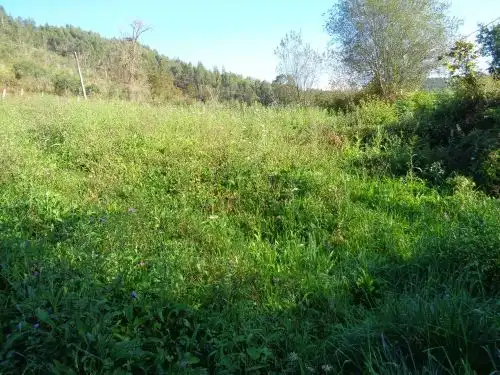 Terreno rustico in vendita a Parroquias suroccidentales, imagen 6