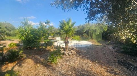 Foto 5 de Finca rústica en venta en Godall, Tarragona