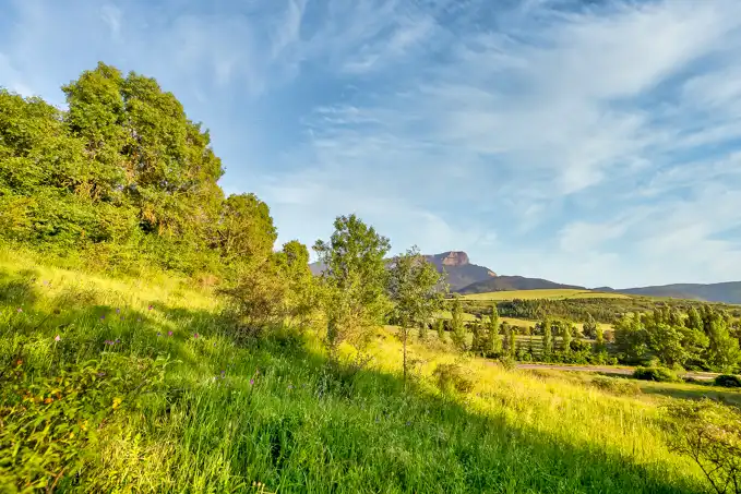 Land for sale in Jaca