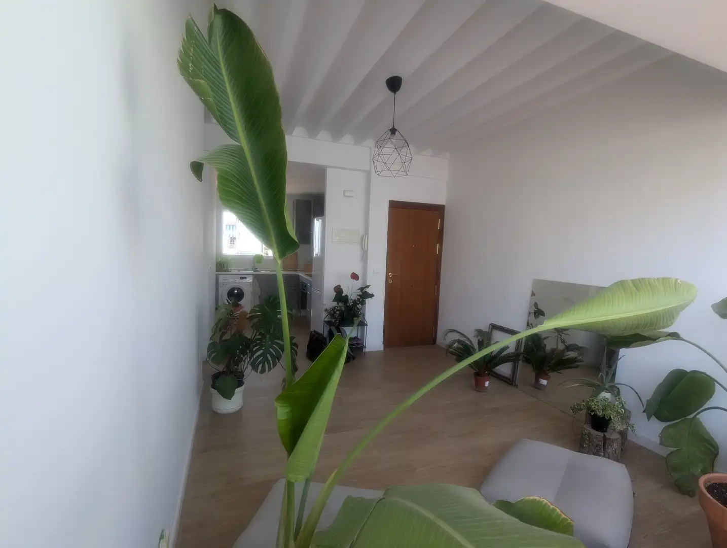 Flat for rent in Jerez de la Frontera, Cádiz