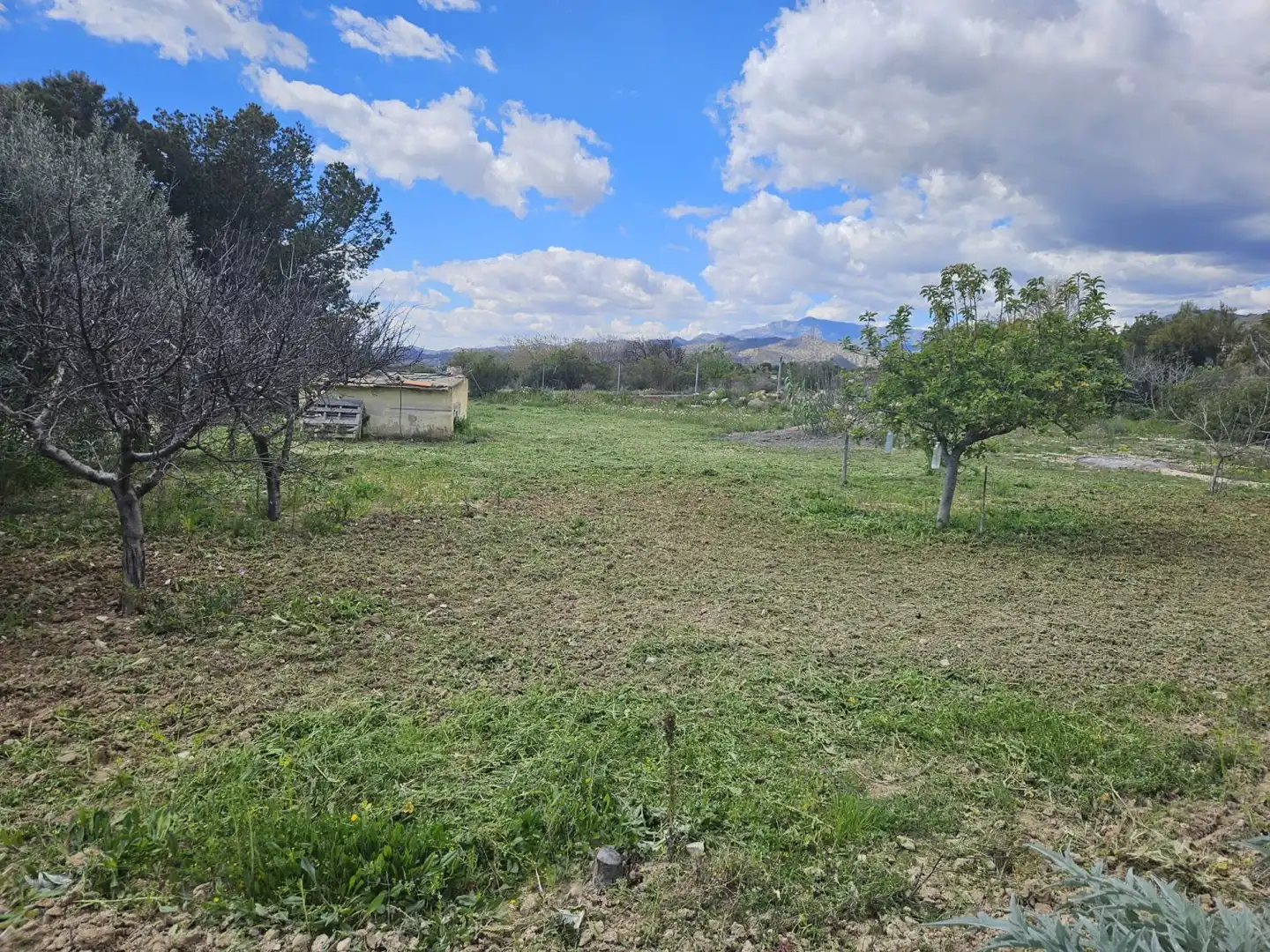 Finca rústica en venda en Villajoyosa / La Vila Joiosa