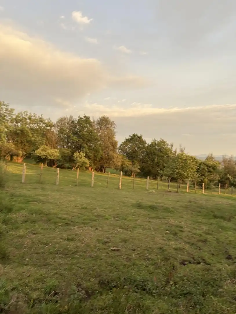 Residential land for sale in La Pola de Siero 58, imagen 8