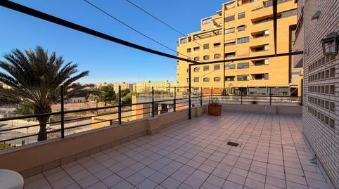 Photo 2 of Apartment to rent in Calle Deportista Navarro Olcina, 12, 1a, Alicante,, -1, Garbinet - Parque de las Avenidas, Alicante / Alacant