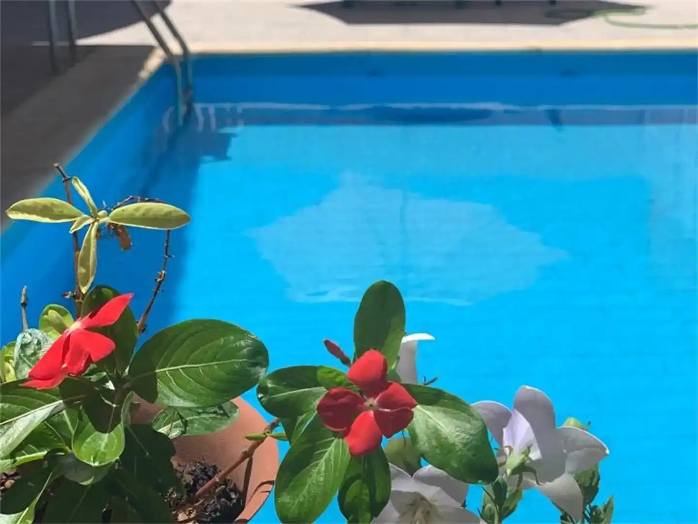 Piscina de Casa adosada en venda en Begíjar amb Jardí privat, Traster i Piscina