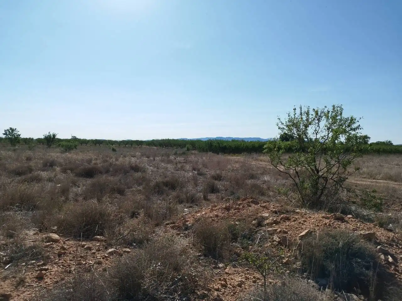 Terreny rústic en venda a Caravaca de la Cruz, imagen 2