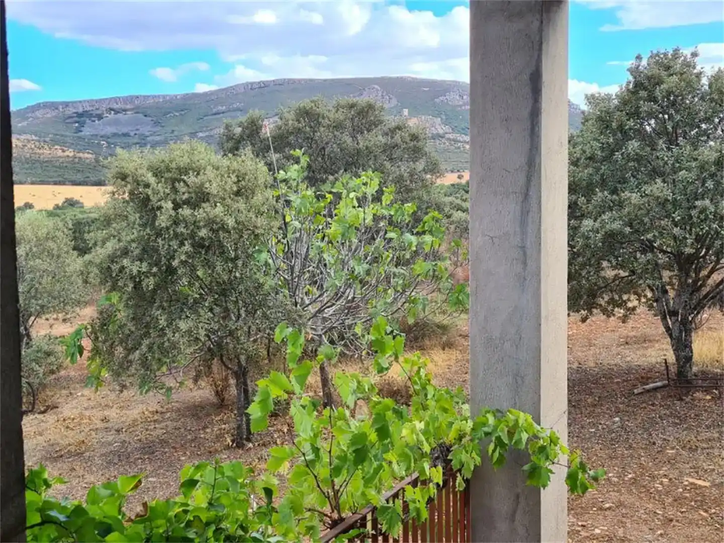 Finca rústica en venda en Calzada de Calatrava