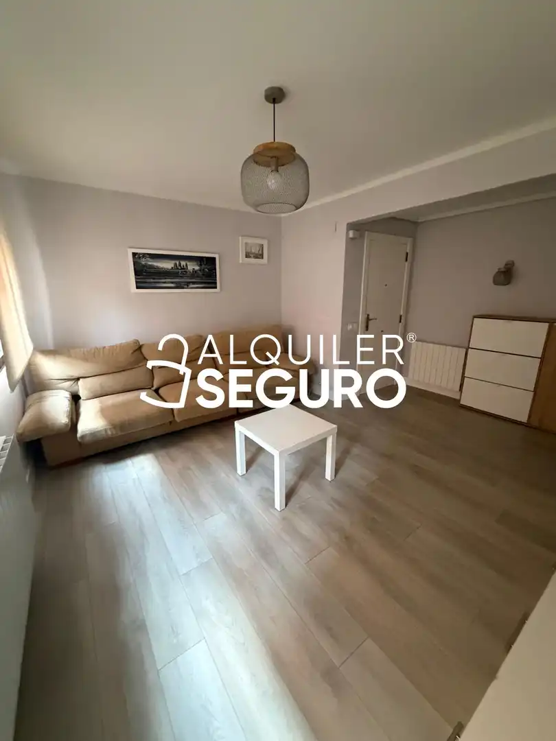 Sala d'estar de Pis de lloguer en Basauri  amb Moblat