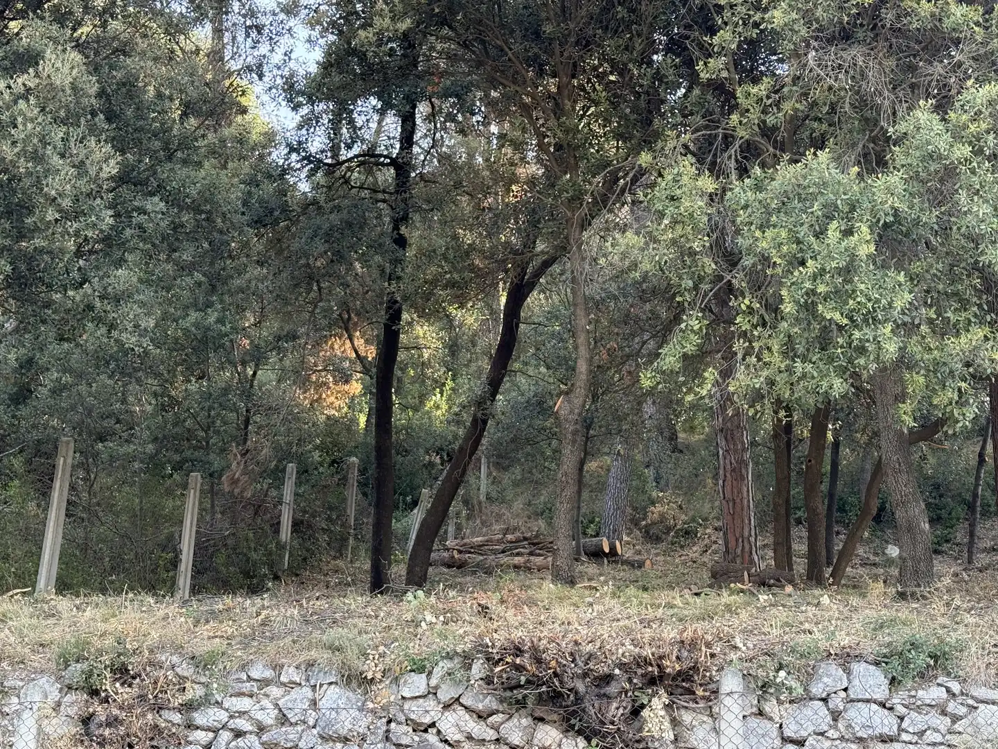 Terreno residencial en venta en d'Aiguafreda de Dalt 5, imagen 19