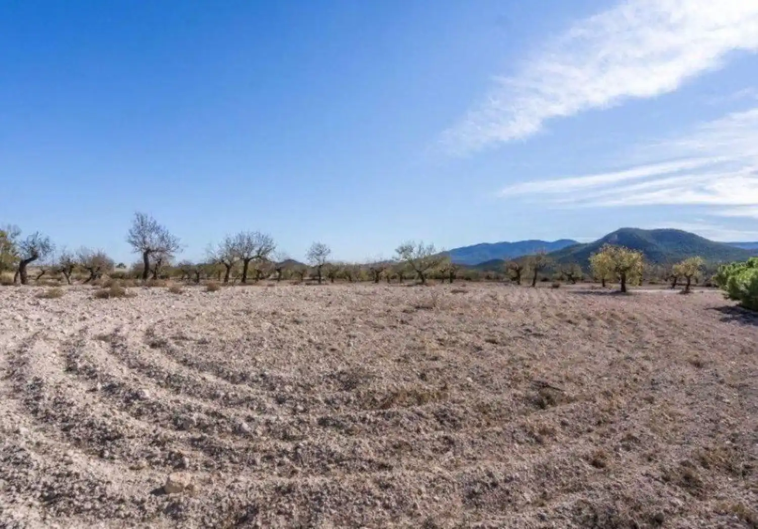 Finca rústica en venta en Vélez-Rubio con Calefacción, Jardín privado y Trastero