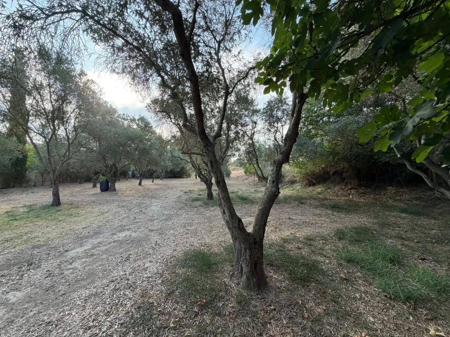 Casa rústica con piscina en venta en N/A, imagen 13