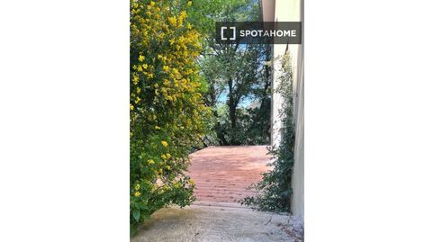 Foto 2 de Pis de lloguer a Les Planes, Sant Cugat del Vallès