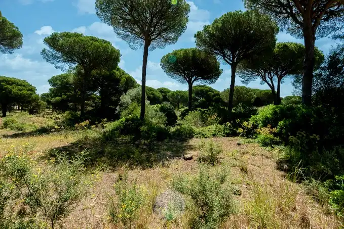 Terreni e lotti in vendita a Av Octavio Augusto (Novo Sancti Petri), imagen 8