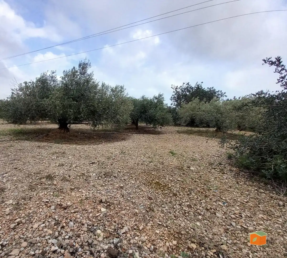 Terreno rustico in vendita a Alcanar, imagen 7