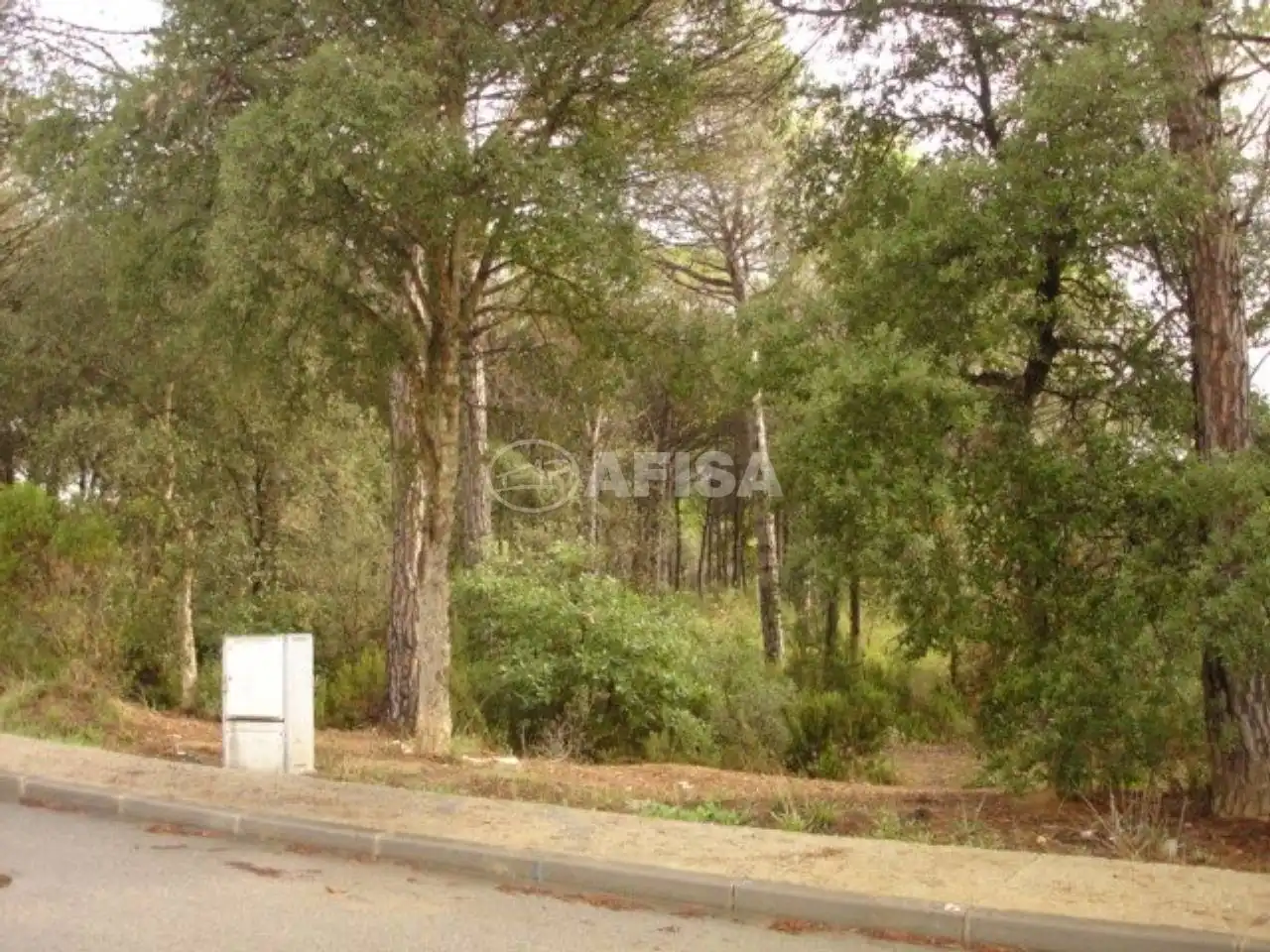 Terreno residencial en venta en La Goba, imagen 3