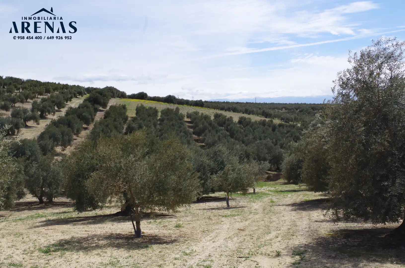 Residential land for sale in Íllora, imagen 3