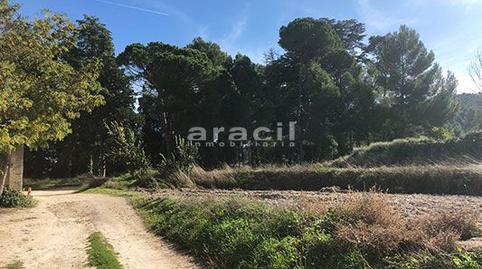 Foto 5 de Finca rústica en venda a Centre - Zona Alta, Alicante