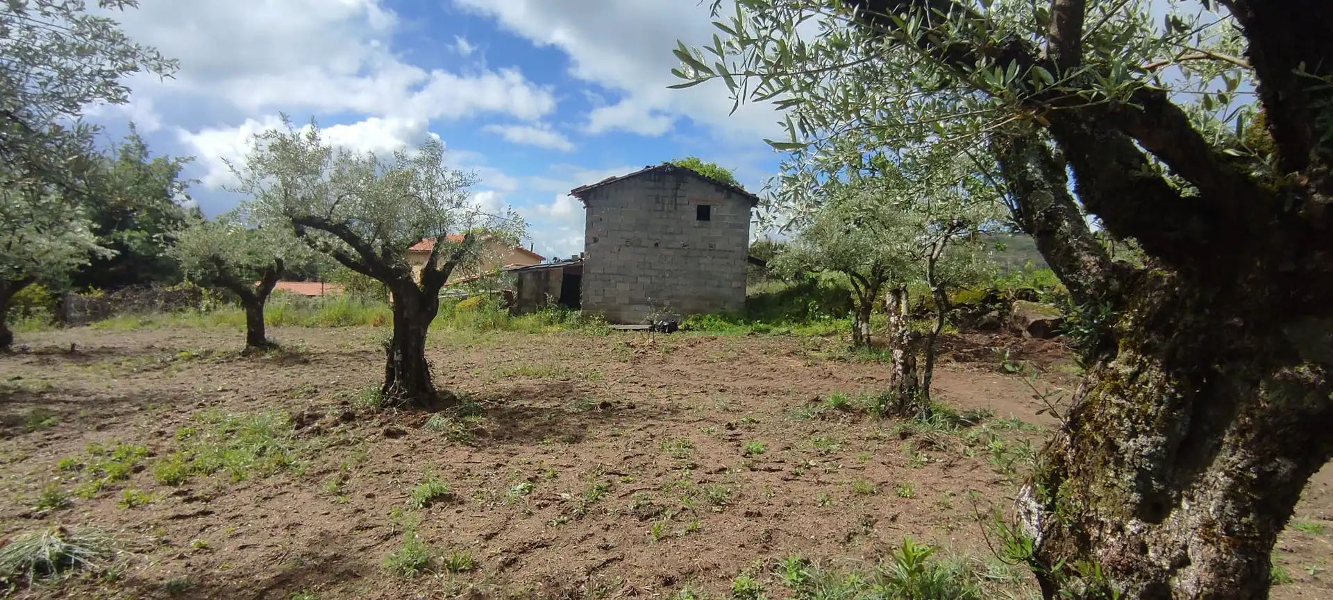 Terreni e lotti in vendita a Jarandilla de la Vera, imagen 5
