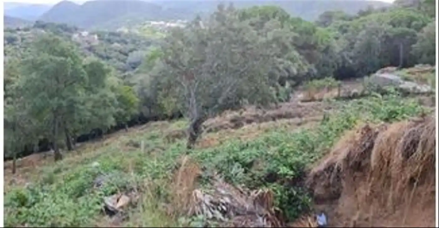 Wohnbaugrundstück zum Verkauf in Sant Cebrià de Vallalta, imagen 5