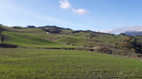 Foto 2 de Terreno en venta en Partidas Norte, Ronda
