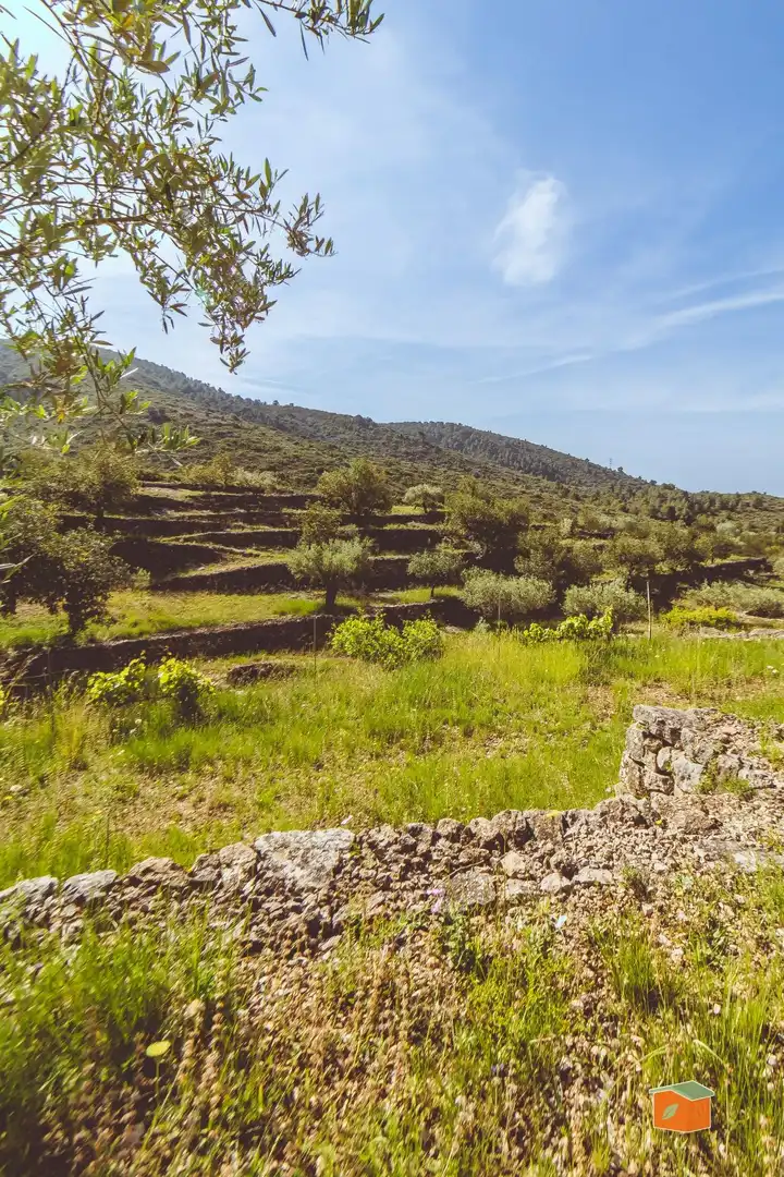 Haus oder Chalet zum Verkauf in Ulldecona mit Möbliert