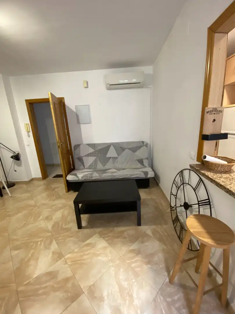 Wohnzimmer von Wohnungen zur Miete in Málaga mit Klimaanlage, Möbliert und Waschmaschine