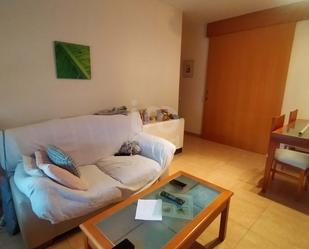 Living room of Flat for sale in Sabadell