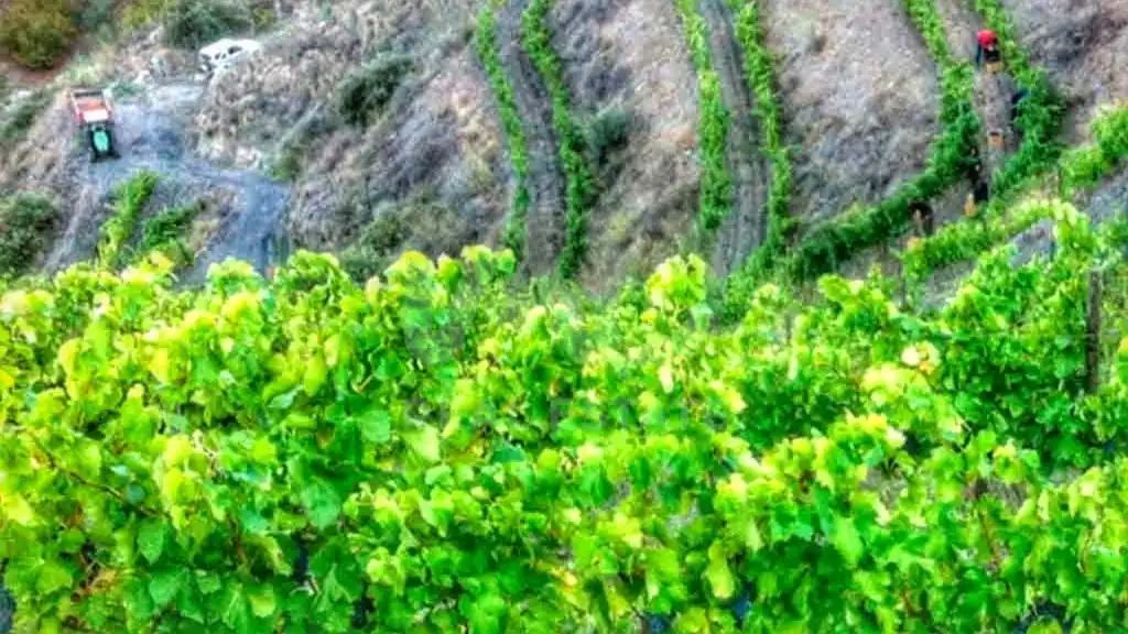 Außenansicht von Grundstücke zum Verkauf in Porrera