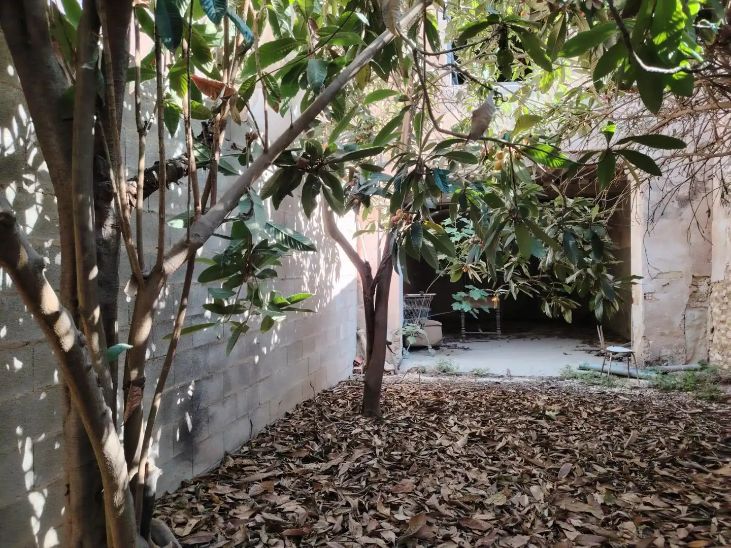 Casa en venda a El Pinós / Pinoso, imagen 12