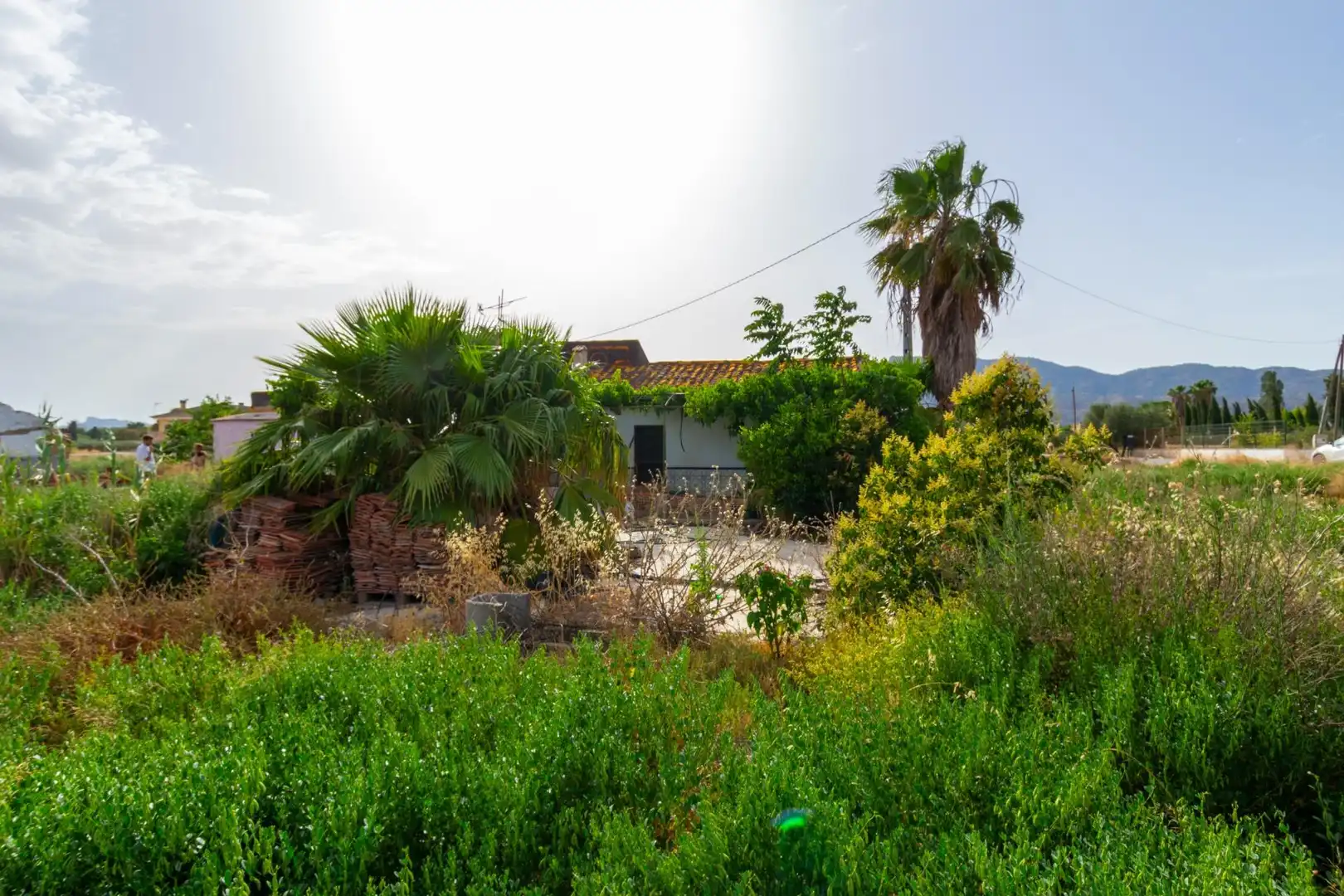 Residencial en venta en Lorca