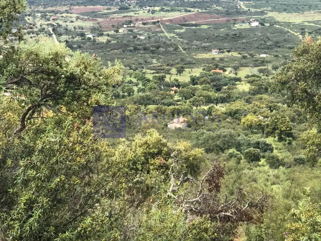 Finca rústica en venta en Aliseda