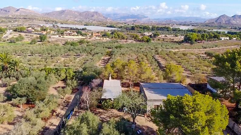 Finca rústica en venda en Elche / Elx amb Terrassa i Traster