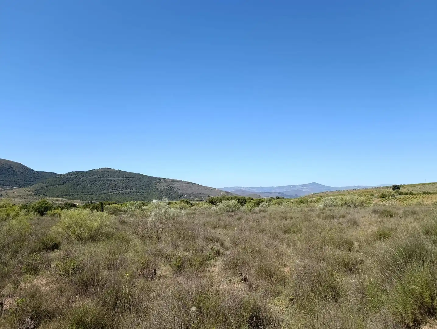 Terreny rústic en venda a Paterna del Río, imagen 9