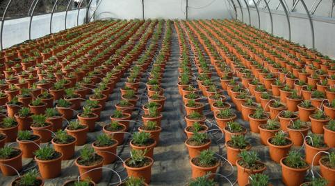 Photo 2 of Land for sale in Els Oms, Urbanitzacions, Sant Pol de Mar