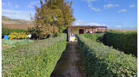 Foto 4 de Finca rústica en venta en Hormilla, La Rioja