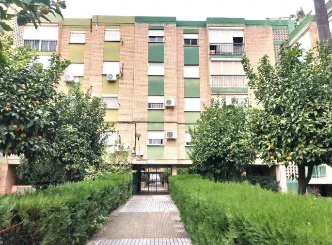 Vista exterior de Piso en venta en Castilleja de la Cuesta