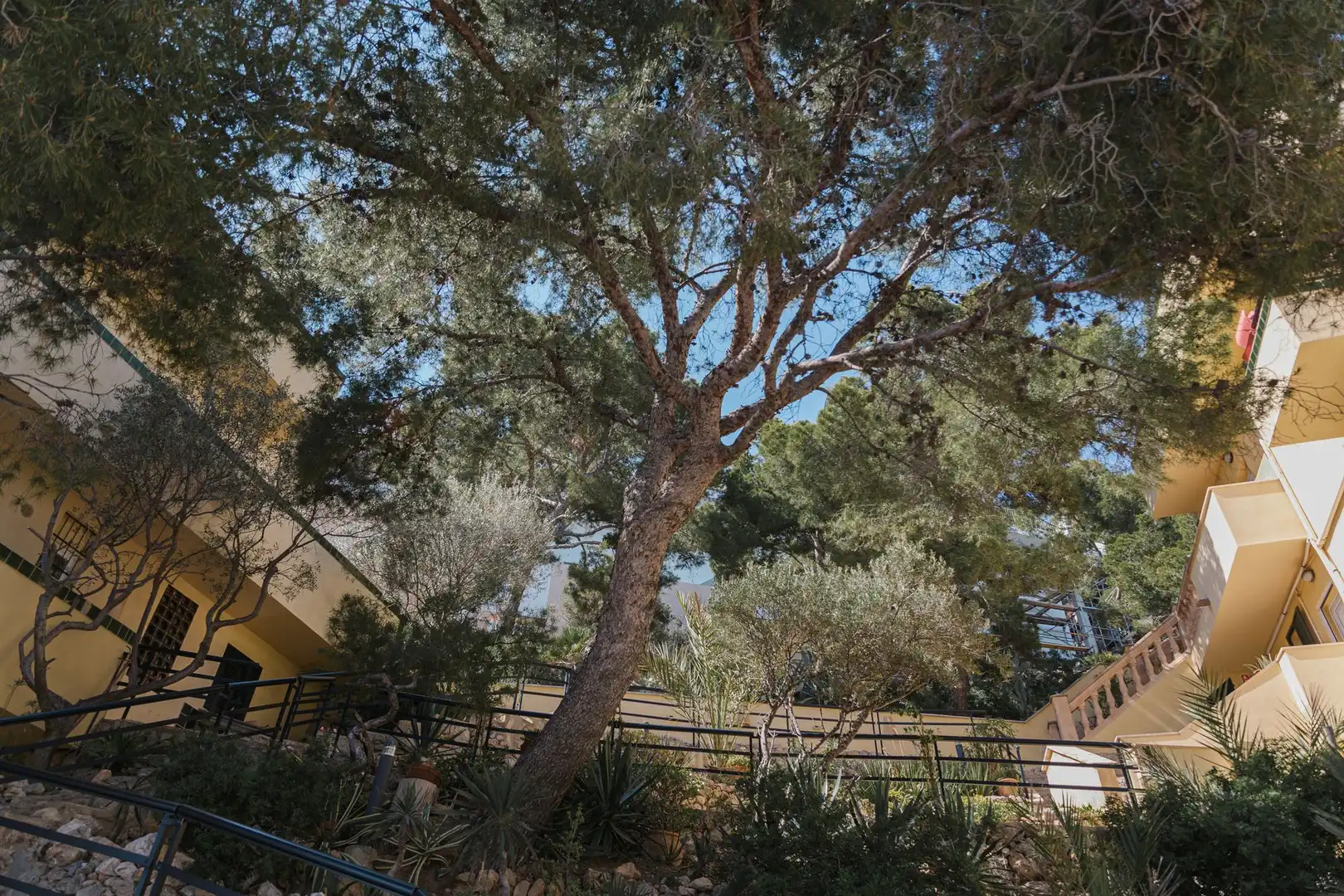 Jardí de Apartament en venda en Andratx amb Terrassa, Moblat i Balcó