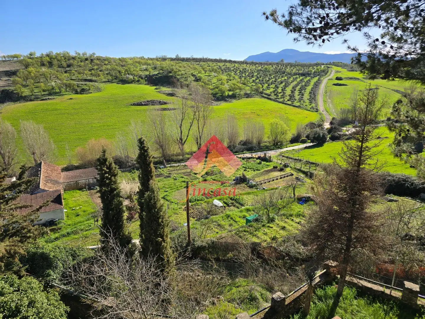 Jardín de Casa o chalet en venta en Ronda con Terraza, Trastero y Piscina