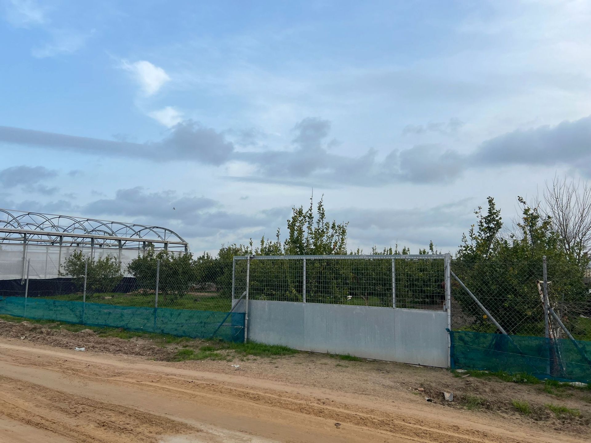 Land for sale in Los Palacios y Villafranca