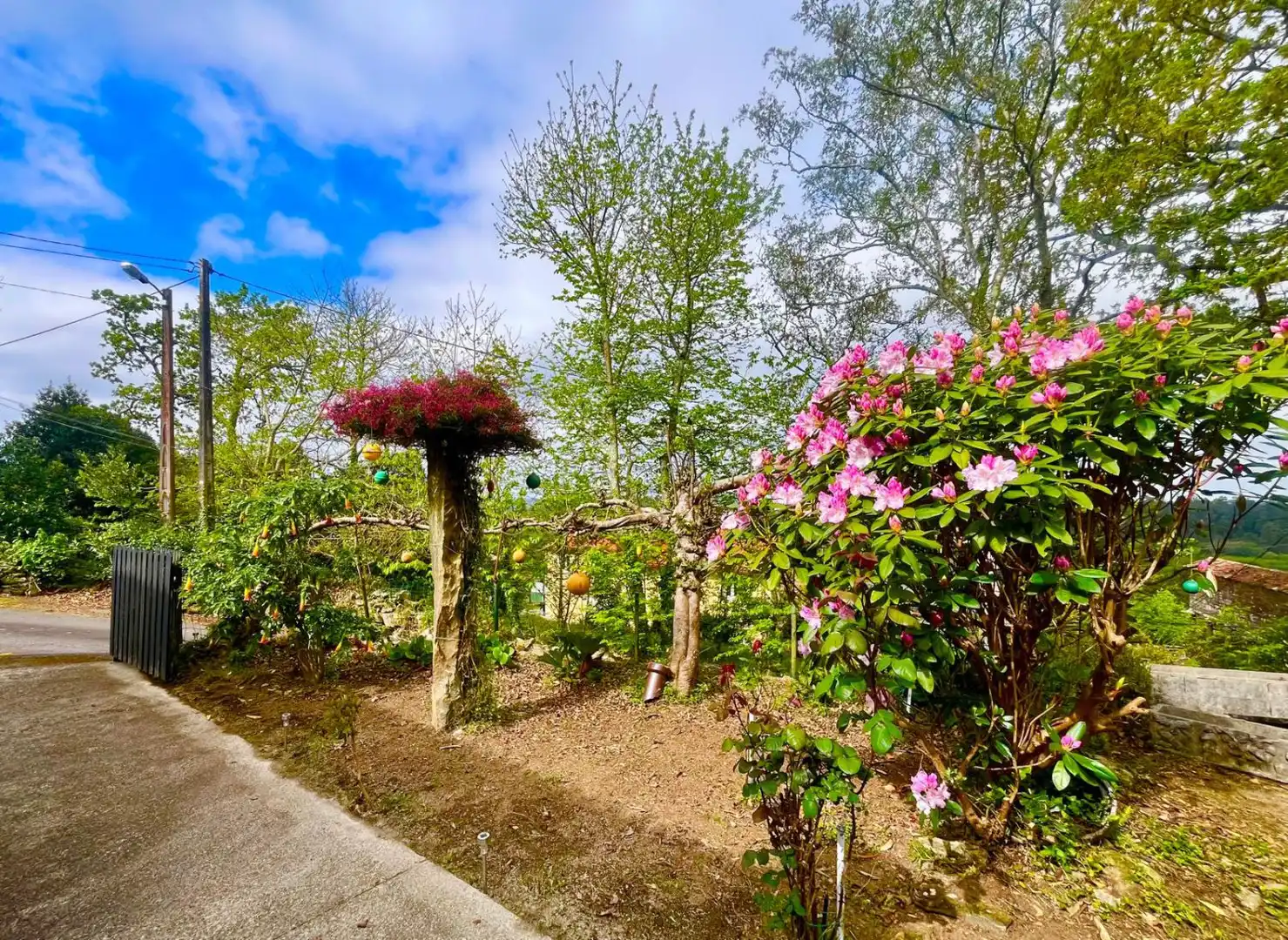 Jardín de Casa o chalet en venta en Zas