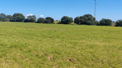 Photo 3 of Building for sale in Benalup-Casas Viejas, Cádiz