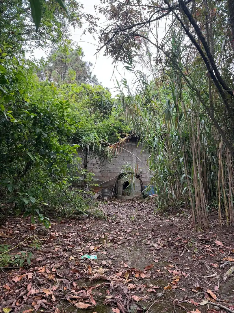 Terreno rustico in vendita a El Bebedero - Pinolere - Aguamansa, imagen 47