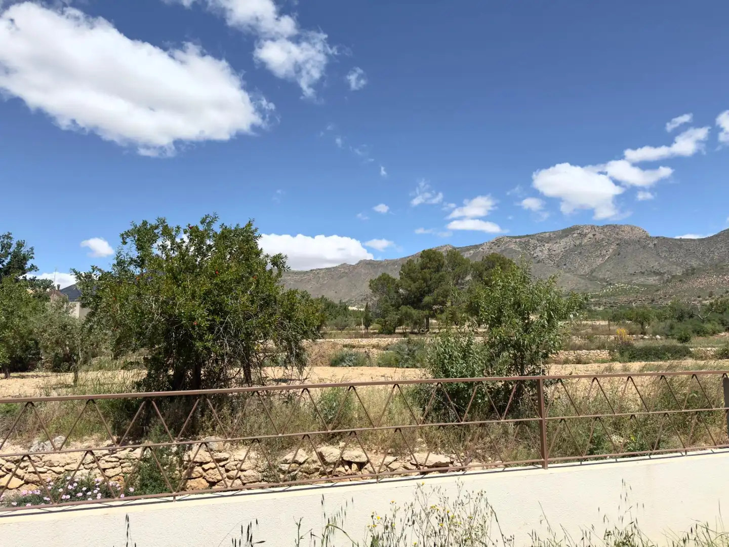 Ground floor with garden for sale in Calle Calle Nueva Canalosa, imagen 22