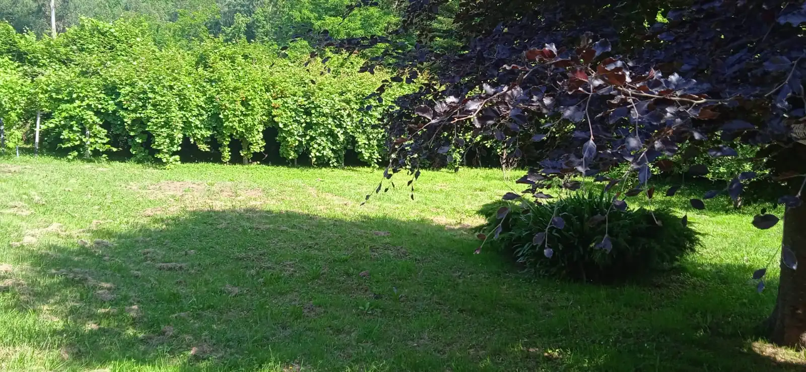Casa o xalet de lloguer en Valdoviño amb Calefacció, Jardí privat i Parquet