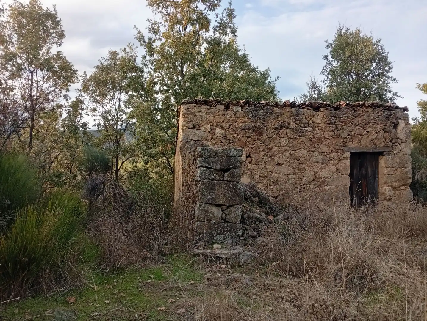 Terreni e lotti in vendita a Villanueva de la Vera, imagen 33