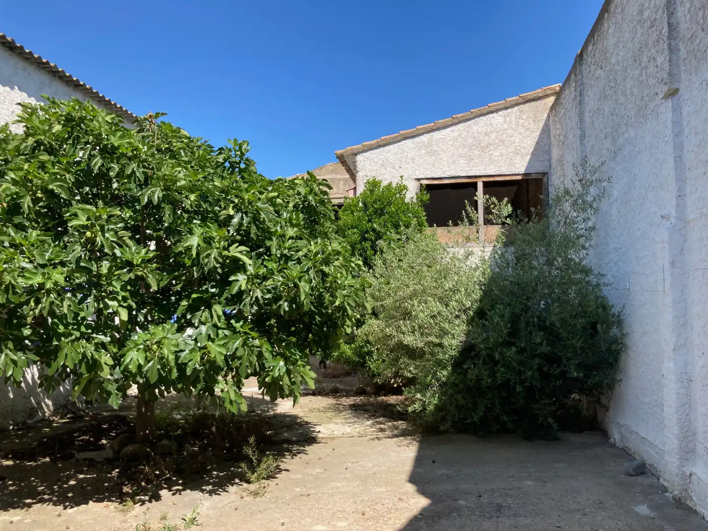 Vista exterior de Casa o chalet en venta en Albalate de Cinca con Jardín privado