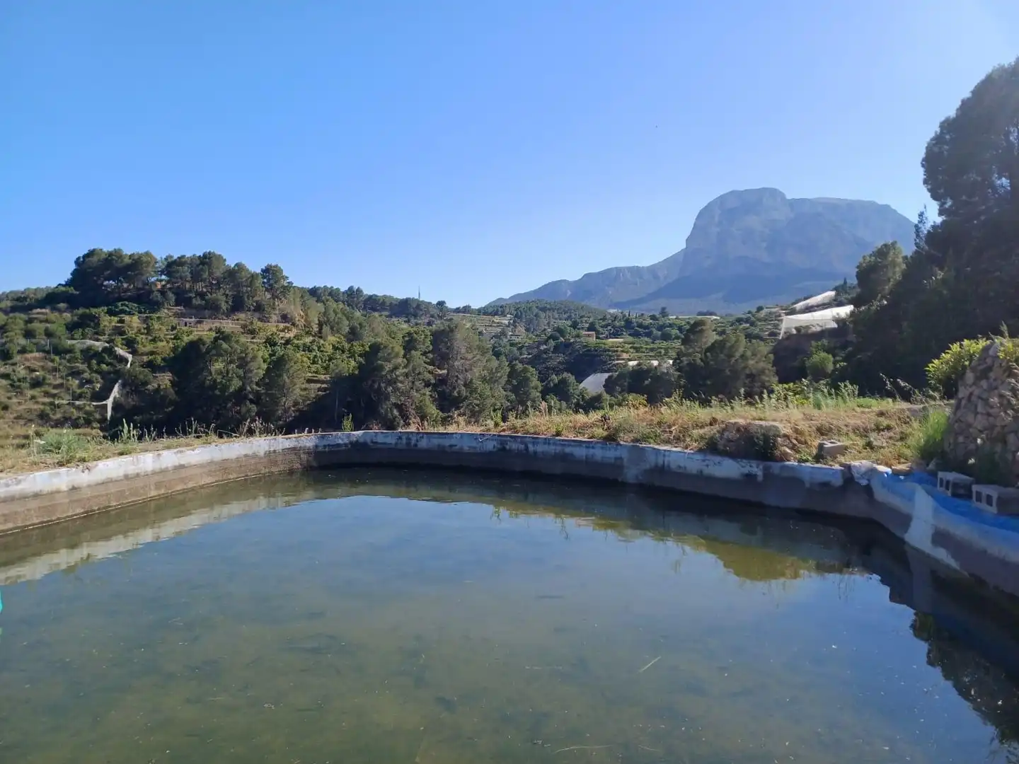 Rural land for sale in Callosa d'en Sarrià, imagen 28