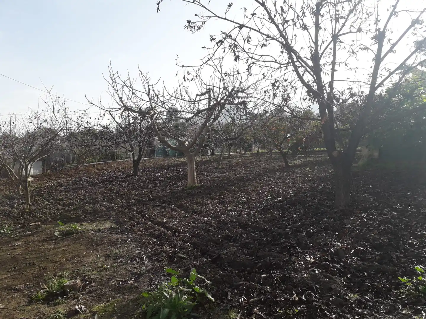 Terreni e lotti in vendita a Villafranco del Guadalhorce, imagen 20