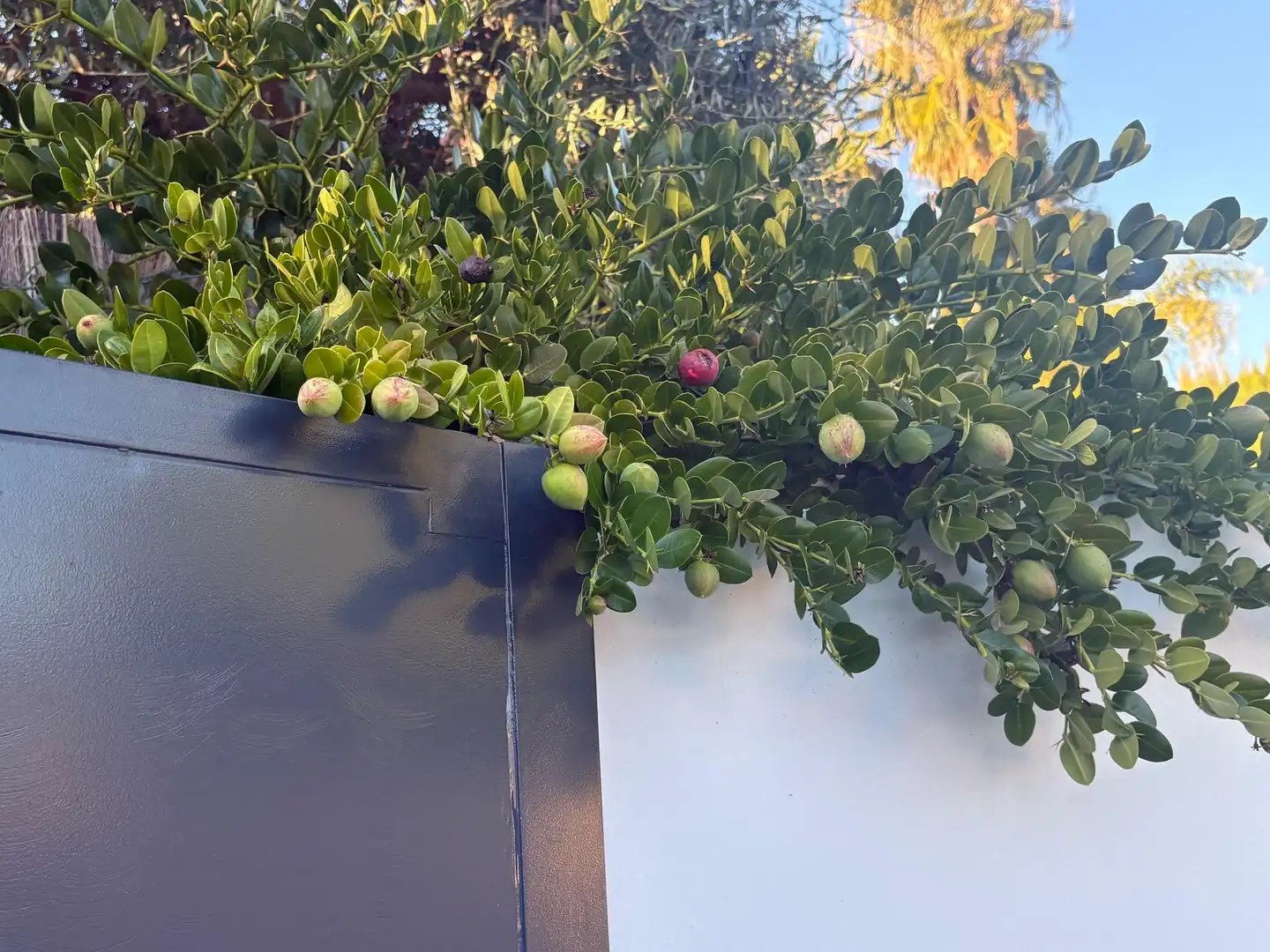 Balcony of Houses for sale in Córdoba  with Air Conditioner, Heating and Private garden